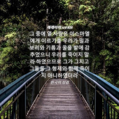 Picture 04 - 예레미야 41:8 KOR - 그 중에 열 사람은 이스마엘에게 - Bible Verse Picture