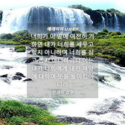 Picture 04 - 예레미야 42:10 KOR - 너희가 이 땅에 여전히 거하면 내가 - Bible Verse Picture