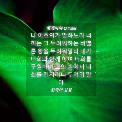 Picture 04 - 예레미야 42:11 KOR - 나 여호와가 말하노라 너희는 그 - Bible Verse Picture