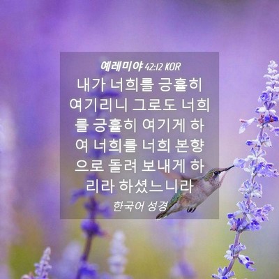 Picture 04 - 예레미야 42:12 KOR - 내가 너희를 긍휼히 여기리니 그로도 - Bible Verse Picture