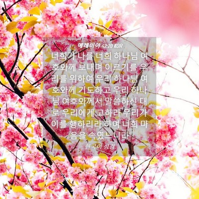 Picture 04 - 예레미야 42:20 KOR - 너희가 나를 너희 하나님 여호와께 - Bible Verse Picture