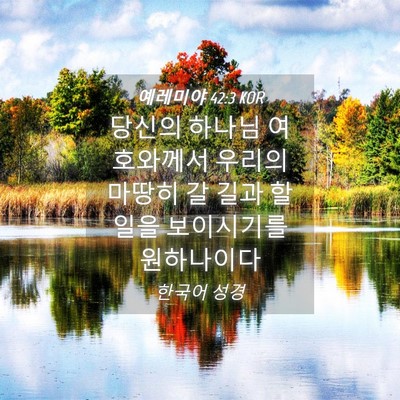 Picture 04 - 예레미야 42:3 KOR - 당신의 하나님 여호와께서 우리의 - Bible Verse Picture