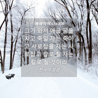 Picture 04 - 예레미야 43:11 KOR - 그가 와서 애굽 땅을 치고 죽일 자는 - Bible Verse Picture