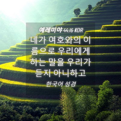 Picture 04 - 예레미야 44:16 KOR - 네가 여호와의 이름으로 우리에게 - Bible Verse Picture
