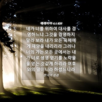 Picture 04 - 예레미야 45:5 KOR - 네가 너를 위하여 대사를 경영하느냐 - Bible Verse Picture