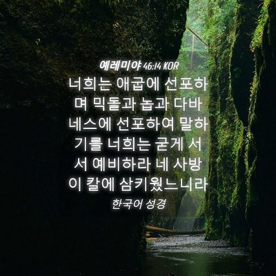 Picture 04 - 예레미야 46:14 KOR - 너희는 애굽에 선포하며 믹돌과 놉과 - Bible Verse Picture