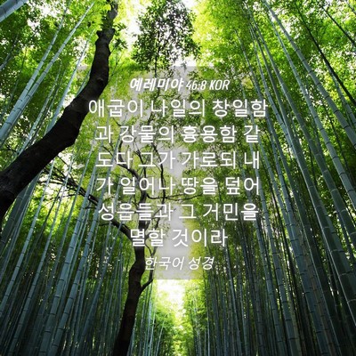 Picture 04 - 예레미야 46:8 KOR - 애굽이 나일의 창일함과 강물의 - Bible Verse Picture
