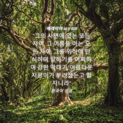 Picture 04 - 예레미야 48:17 KOR - 