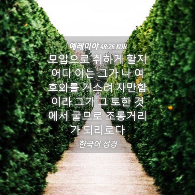 Picture 04 - 예레미야 48:26 KOR - 모압으로 취하게 할지어다 이는 그가 - Bible Verse Picture