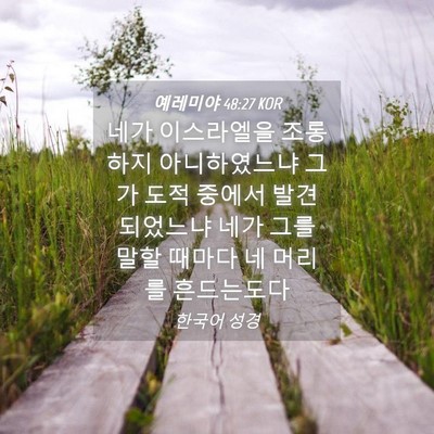 Picture 04 - 예레미야 48:27 KOR - 네가 이스라엘을 조롱하지 - Bible Verse Picture
