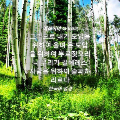 Picture 04 - 예레미야 48:31 KOR - 그러므로 내가 모압을 위하여 울며 - Bible Verse Picture
