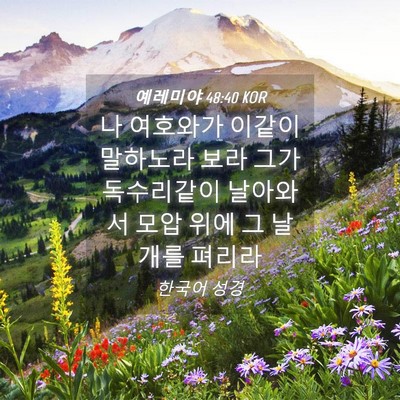 Picture 04 - 예레미야 48:40 KOR - 나 여호와가 이같이 말하노라 보라 - Bible Verse Picture