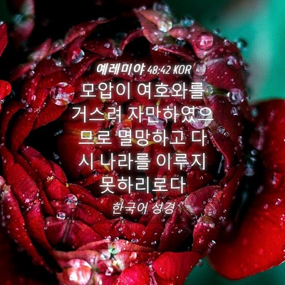 Picture 04 - 예레미야 48:42 KOR - 모압이 여호와를 거스려 - Bible Verse Picture