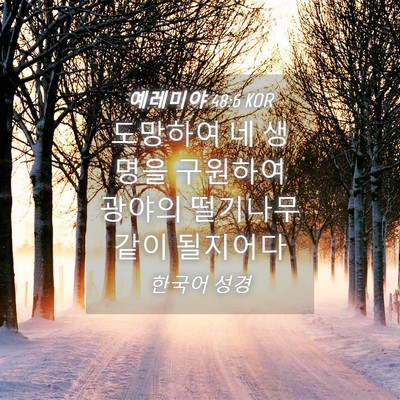 Picture 04 - 예레미야 48:6 KOR - 도망하여 네 생명을 구원하여 광야의 - Bible Verse Picture