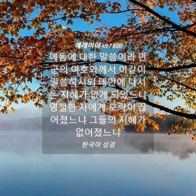 Picture 04 - 예레미야 49:7 KOR - 에돔에 대한 말씀이라 만군의 - Bible Verse Picture