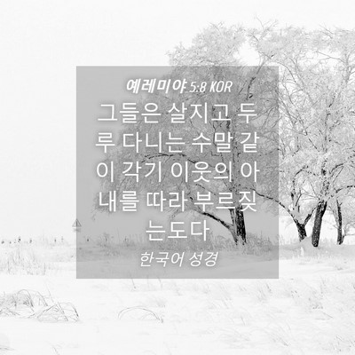 Picture 04 - 예레미야 5:8 KOR - 그들은 살지고 두루 다니는 수말 - Bible Verse Picture