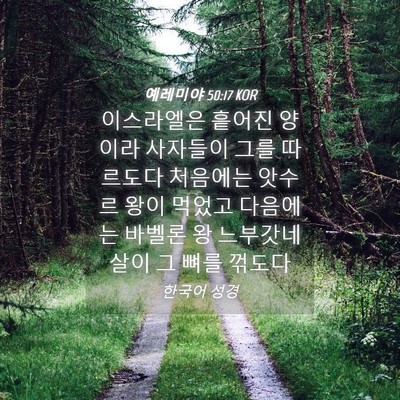 Picture 04 - 예레미야 50:17 KOR - 이스라엘은 흩어진 양이라 사자들이 - Bible Verse Picture