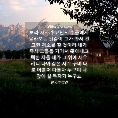 Picture 04 - 예레미야 50:44 KOR - 보라 사자가 요단의 수풀에서 - Bible Verse Picture