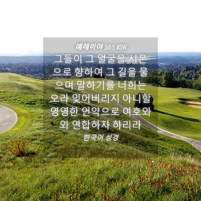Picture 04 - 예레미야 50:5 KOR - 그들이 그 얼굴을 시온으로 향하여 - Bible Verse Picture
