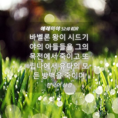 Picture 04 - 예레미야 52:10 KOR - 바벨론 왕이 시드기야의 아들들을 - Bible Verse Picture