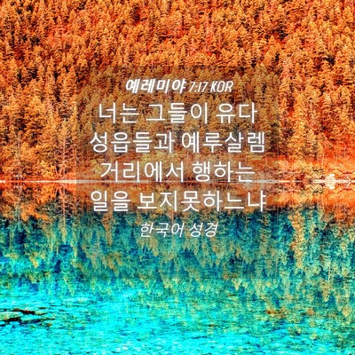 Picture 04 - 예레미야 7:17 KOR - 너는 그들이 유다 성읍들과 예루살렘 - Bible Verse Picture