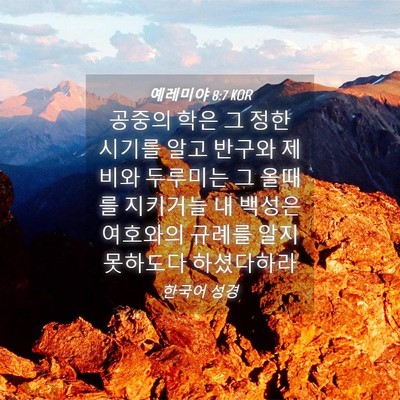 Picture 04 - 예레미야 8:7 KOR - 공중의 학은 그 정한 시기를 알고 - Bible Verse Picture