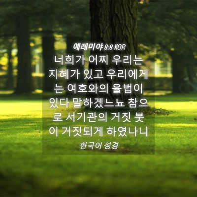Picture 04 - 예레미야 8:8 KOR - 너희가 어찌 우리는 지혜가 있고 - Bible Verse Picture