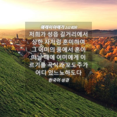Picture 04 - 예레미야애가 2:12 KOR - 저희가 성읍 길거리에서 상한 자처럼 - Bible Verse Picture