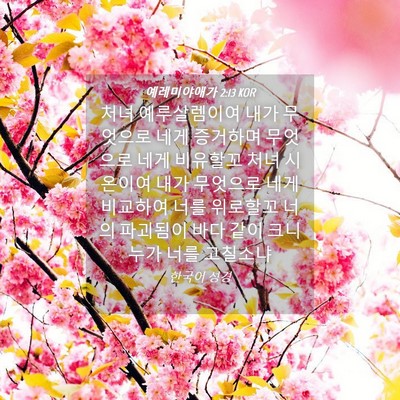 Picture 04 - 예레미야애가 2:13 KOR - 처녀 예루살렘이여 내가 무엇으로 - Bible Verse Picture