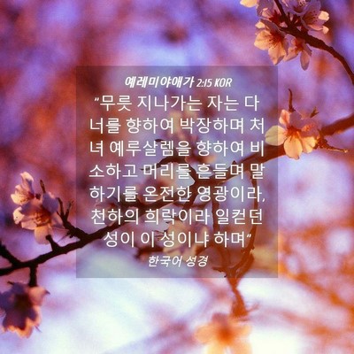 Picture 04 - 예레미야애가 2:15 KOR - 