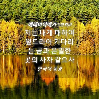Picture 04 - 예레미야애가 3:10 KOR - 저는 내게 대하여 엎드리어 기다리는 - Bible Verse Picture