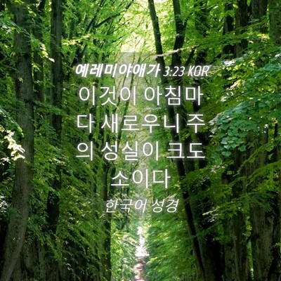 Picture 04 - 예레미야애가 3:23 KOR - 이것이 아침마다 새로우니 주의 - Bible Verse Picture