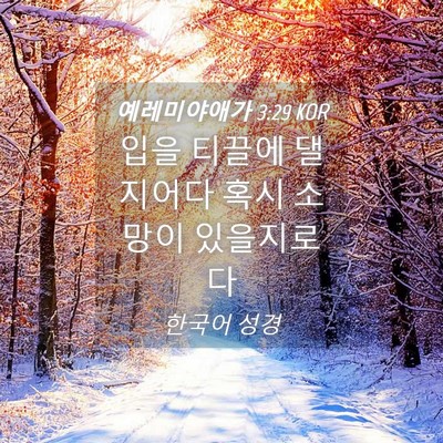 Picture 04 - 예레미야애가 3:29 KOR - 입을 티끌에 댈지어다 혹시 소망이 - Bible Verse Picture