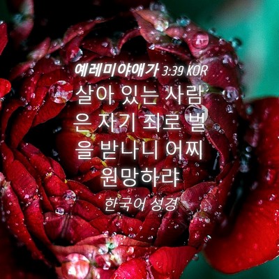 Picture 04 - 예레미야애가 3:39 KOR - 살아 있는 사람은 자기 죄로 벌을 - Bible Verse Picture