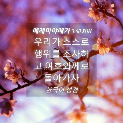 Picture 04 - 예레미야애가 3:40 KOR - 우리가 스스로 행위를 조사하고 - Bible Verse Picture