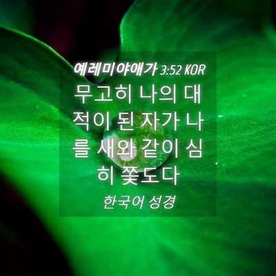 Picture 04 - 예레미야애가 3:52 KOR - 무고히 나의 대적이 된 자가 나를 - Bible Verse Picture