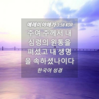 Picture 04 - 예레미야애가 3:58 KOR - 주여 주께서 내 심령의 원통을 - Bible Verse Picture