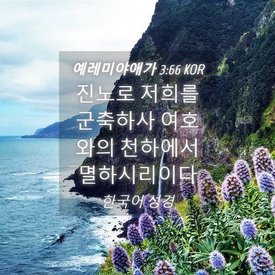 Picture 04 - 예레미야애가 3:66 KOR - 진노로 저희를 군축하사 여호와의 - Bible Verse Picture