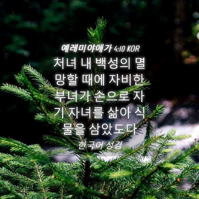 Picture 04 - 예레미야애가 4:10 KOR - 처녀 내 백성의 멸망할 때에 자비한 - Bible Verse Picture