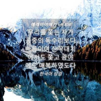 Picture 04 - 예레미야애가 4:19 KOR - 우리를 쫓는 자가 공중의 독수리보다 - Bible Verse Picture