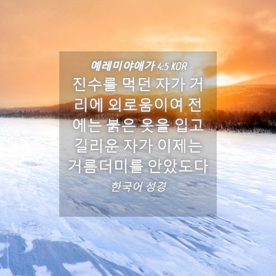 Picture 04 - 예레미야애가 4:5 KOR - 진수를 먹던 자가 거리에 외로움이여 - Bible Verse Picture