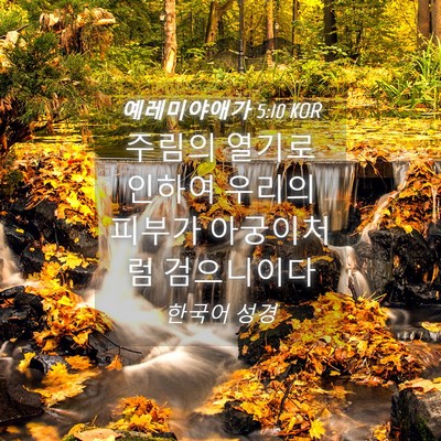 Picture 04 - 예레미야애가 5:10 KOR - 주림의 열기로 인하여 우리의 피부가 - Bible Verse Picture