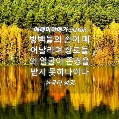 Picture 04 - 예레미야애가 5:12 KOR - 방백들의 손이 매어달리며 장로들의 - Bible Verse Picture