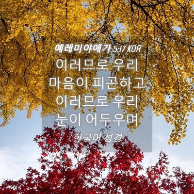Picture 04 - 예레미야애가 5:17 KOR - 이러므로 우리 마음이 피곤하고 - Bible Verse Picture