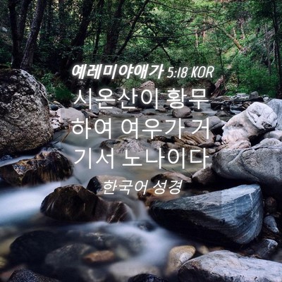 Picture 04 - 예레미야애가 5:18 KOR - 시온산이 황무하여 여우가 거기서 - Bible Verse Picture