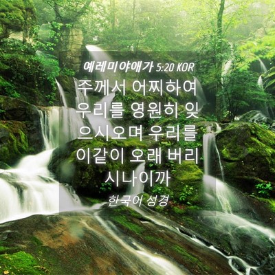 Picture 04 - 예레미야애가 5:20 KOR - 주께서 어찌하여 우리를 영원히 - Bible Verse Picture