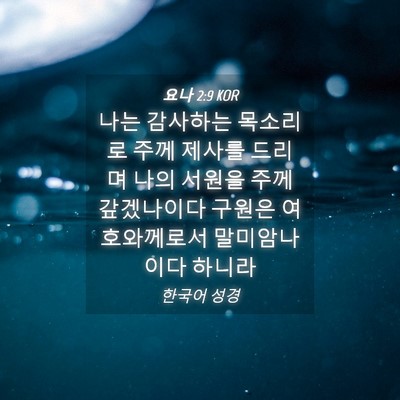 Picture 04 - 요나 2:9 KOR - 나는 감사하는 목소리로 주께 제사를 - Bible Verse Picture