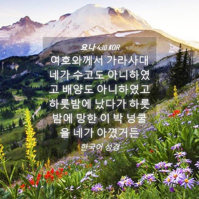 Picture 04 - 요나 4:10 KOR - 여호와께서 가라사대 네가 수고도 - Bible Verse Picture