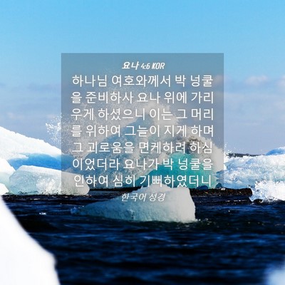 Picture 04 - 요나 4:6 KOR - 하나님 여호와께서 박 넝쿨을 - Bible Verse Picture