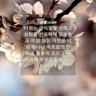 Picture 04 - 요엘 1:14 KOR - 너희는 금식일을 정하고 성회를 - Bible Verse Picture